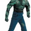 Monster Costumes * | Hulk Costume