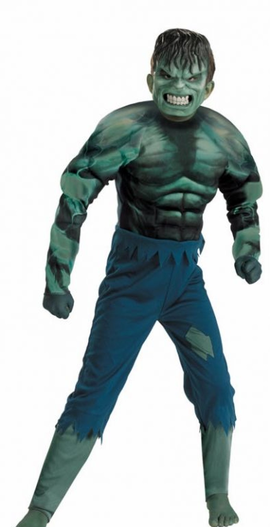 Monster Costumes * | Hulk Costume