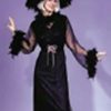 Witches & Monsters * | Feather Witch Adult Costume